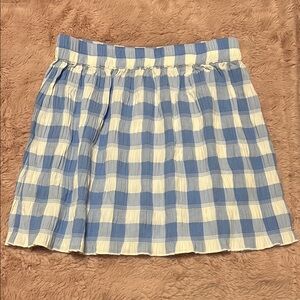 Blue and White Checkered Skirt